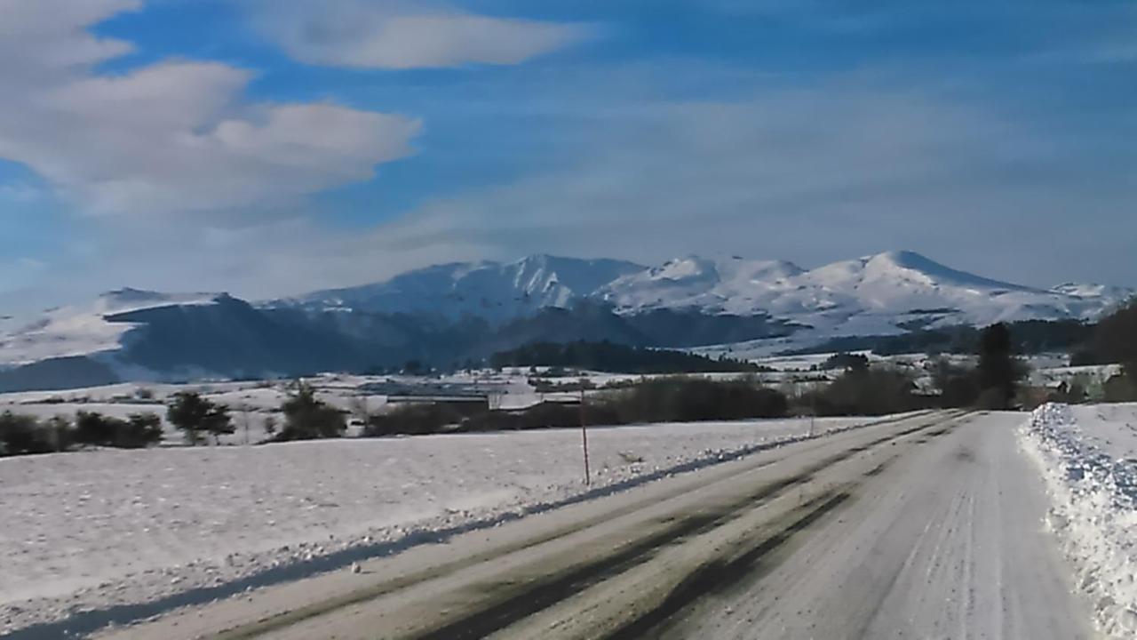 Tulipe, Appartement 5 Personnes, Entre Sancy Et Volcans D'Auvergne Orcival Esterno foto