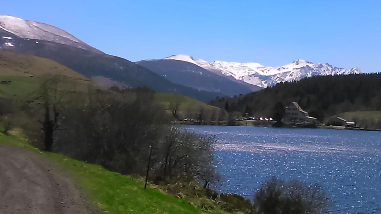 Tulipe, Appartement 5 Personnes, Entre Sancy Et Volcans D'Auvergne Orcival Esterno foto