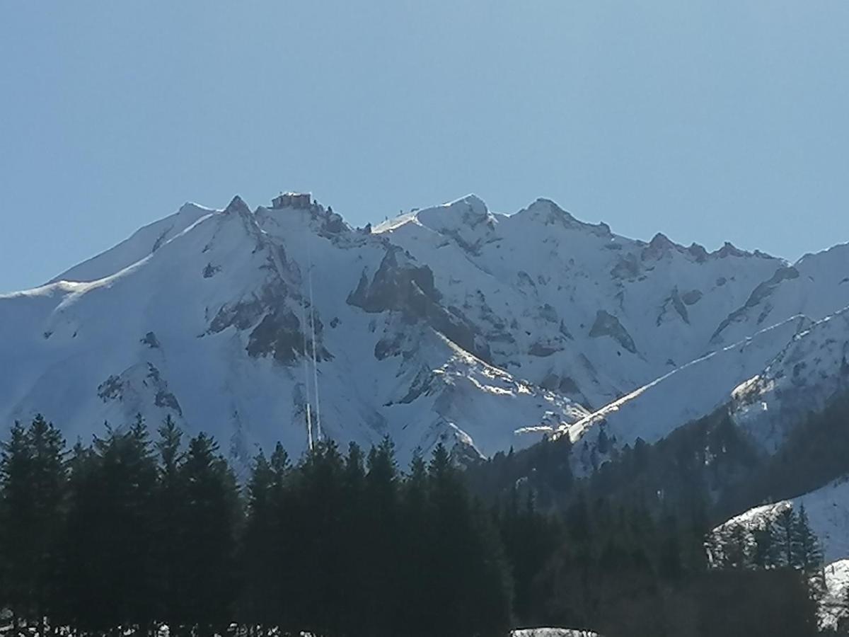 Tulipe, Appartement 5 Personnes, Entre Sancy Et Volcans D'Auvergne Orcival Esterno foto