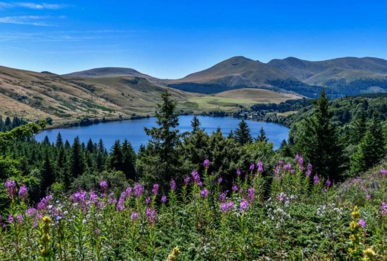 Tulipe, Appartement 5 Personnes, Entre Sancy Et Volcans D'Auvergne Orcival Esterno foto