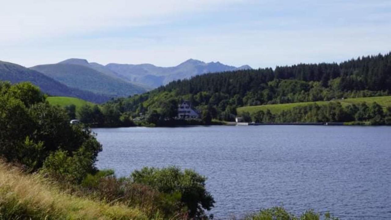 Tulipe, Appartement 5 Personnes, Entre Sancy Et Volcans D'Auvergne Orcival Esterno foto